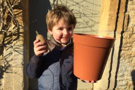 Potato in a Pot